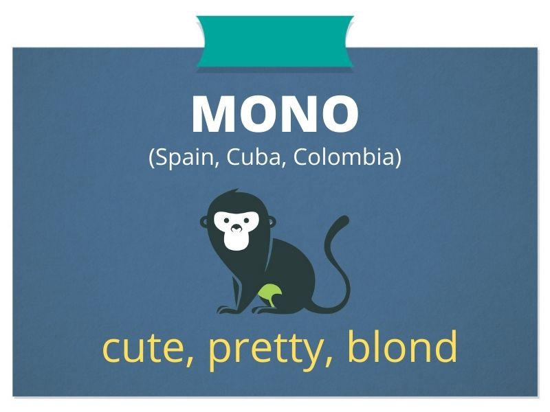 Female Monkey In Spanish Slang