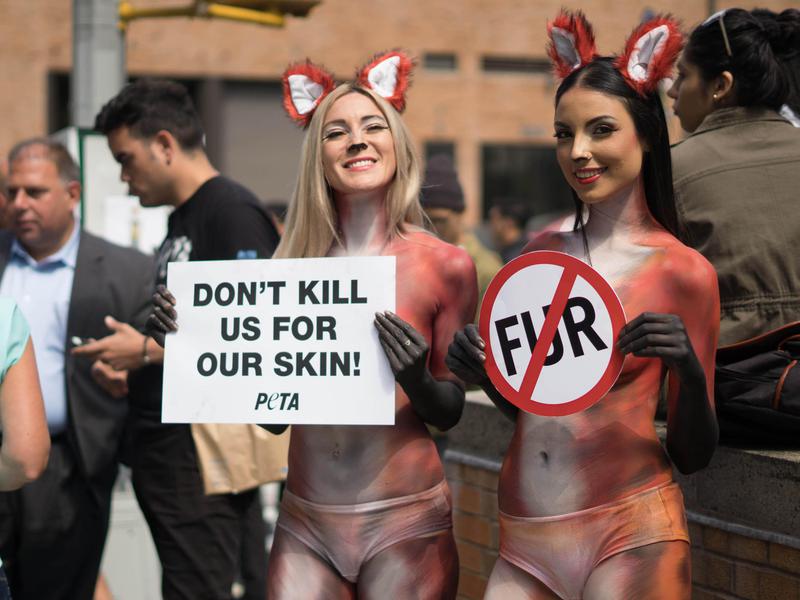 2 PETA 'foxes' hold a protest, wearing little more than bodypaint and fluffy faux-fur tails and ears and carrying signs proclaiming, 'Don't kill us for our skin.'