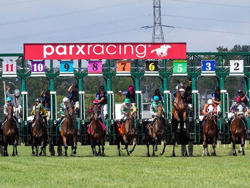 horse racing at parx casino