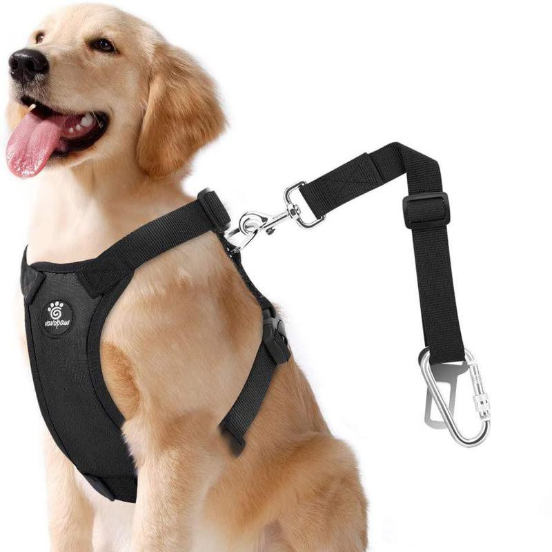 25 Best Dog Car Harnesses You Can Buy on Amazon | Always Pets