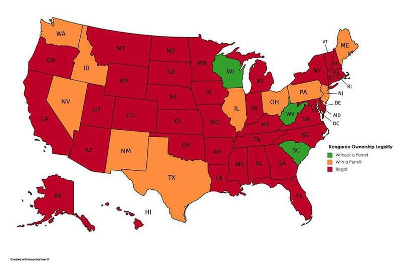 50 Terrible Maps That Made Us Laugh | Far & Wide