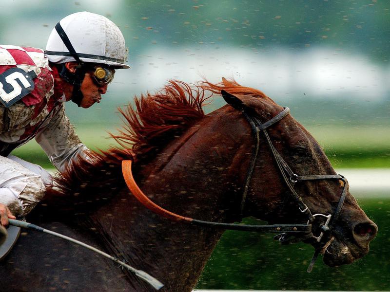 50 Fastest Horses To Ever Win The Kentucky Derby Always Pets