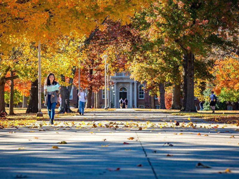 The Best College Town Every State Far Wide
