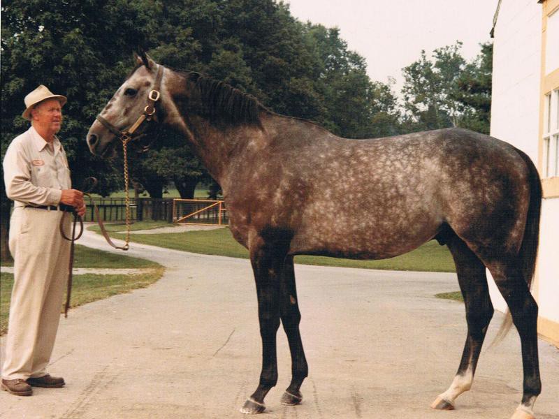 50 Fastest Horses to Ever Win the Kentucky Derby Always Pets