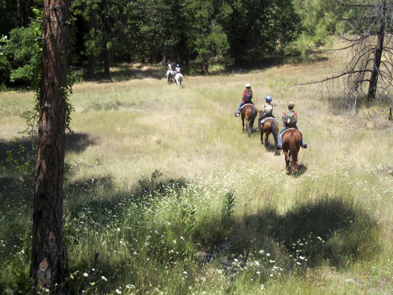 30 Best Summer Camps in California for Kids | FamilyMinded