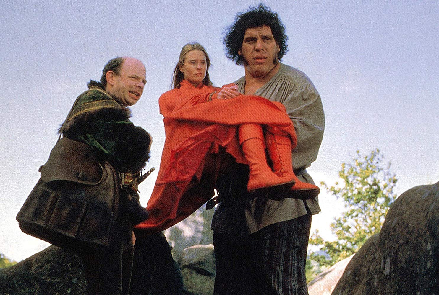 princess bride westley and buttercup fire swamp