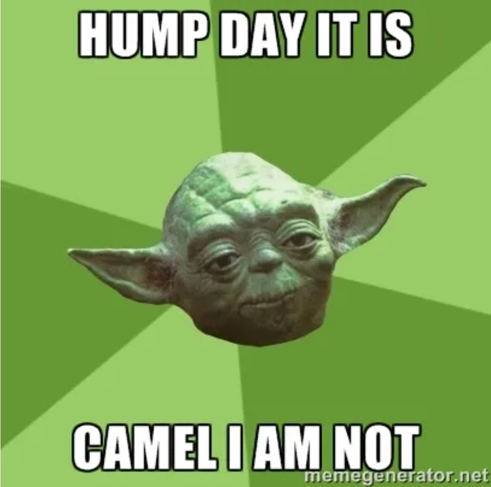 hump day meme funny